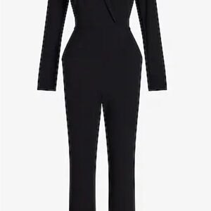 Express Black Fitted Jumpsuit with V-Neckline